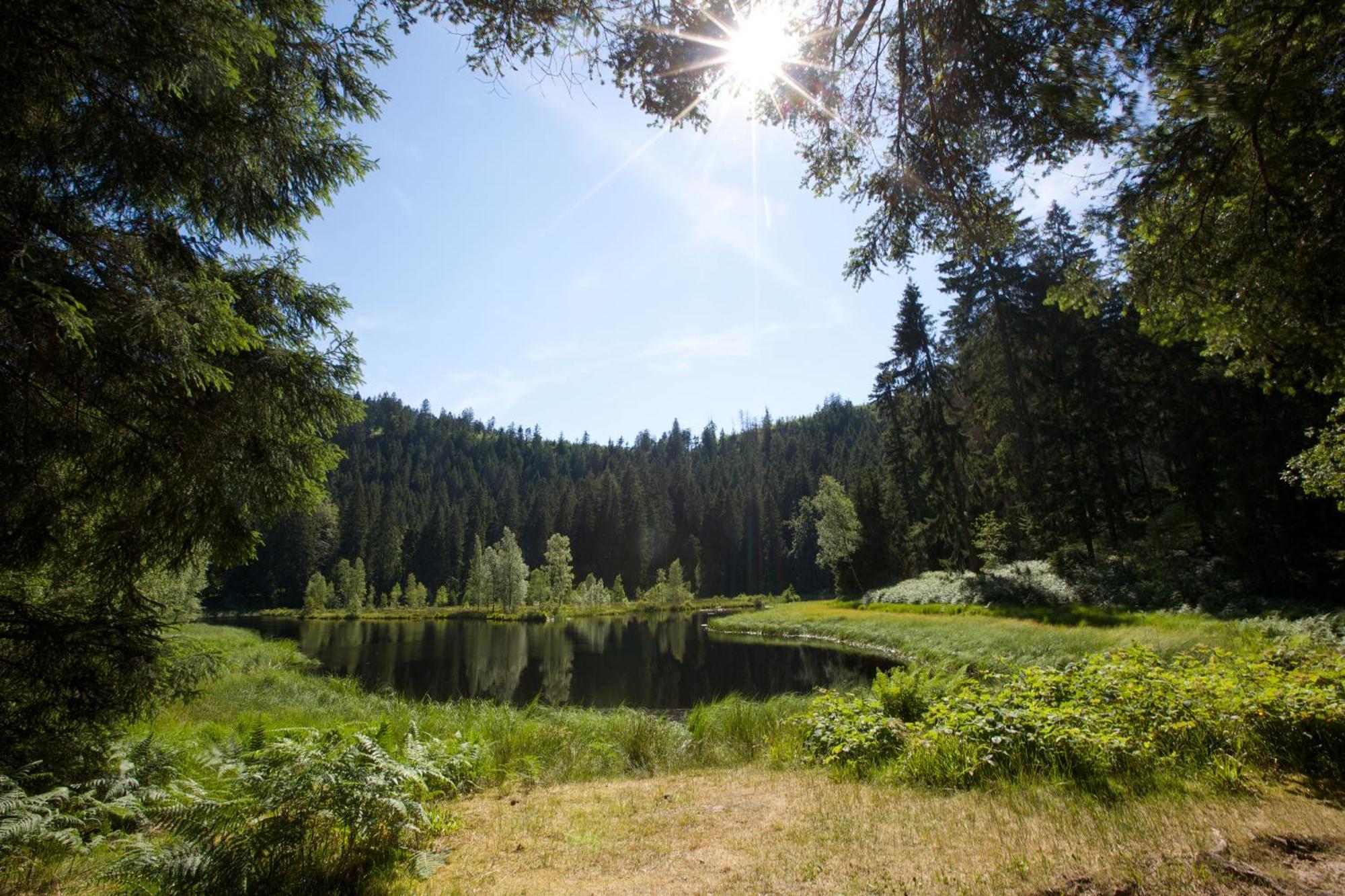 Wellness & Genuss - Engel Obertal Hotel Baiersbronn